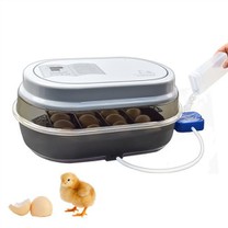 Инкубатор за пилеће јаје